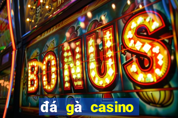 đá gà casino mới nhất hôm nay