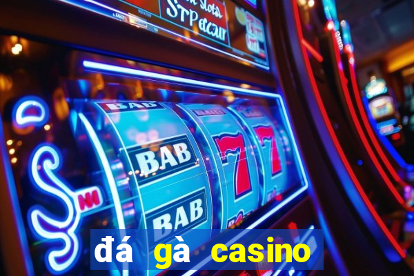 đá gà casino mới nhất hôm nay