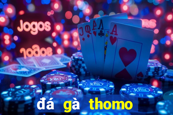 đá gà thomo trực tiếp gà tre