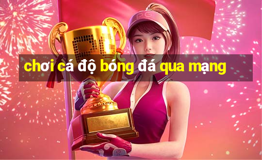 chơi cá độ bóng đá qua mạng