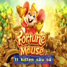 tt kitten câu cá pk hỗ trợ