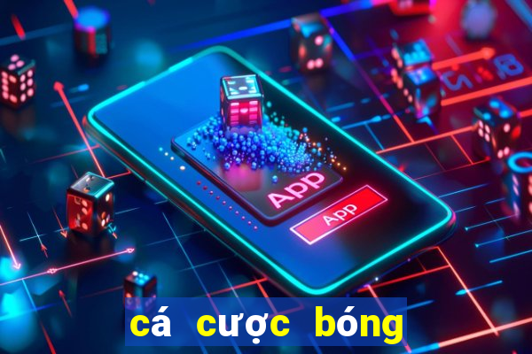 cá cược bóng rổ ae888