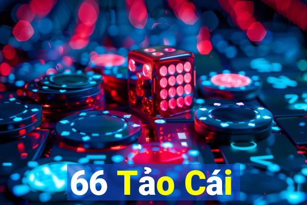 66 Tảo Cái