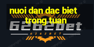 nuoi dan dac biet trong tuan