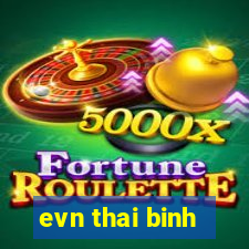 evn thai binh