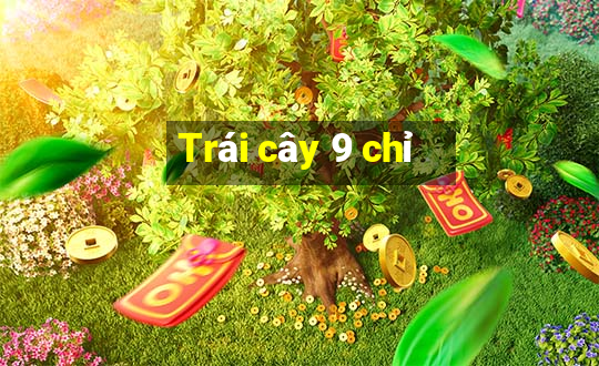 Trái cây 9 chỉ