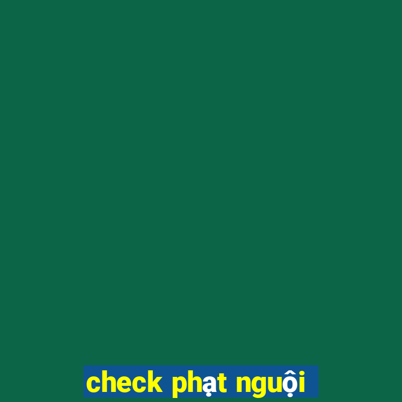 check phạt nguội