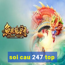 soi cau 247 top