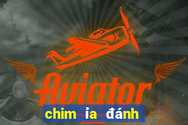 chim ỉa đánh con gì