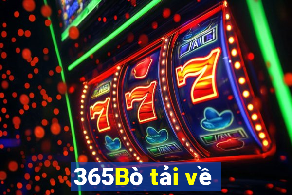 365Bò tải về