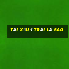 tài xỉu 1 trái là sao