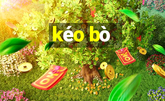 kéo bò