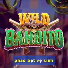 phao bệt vệ sinh