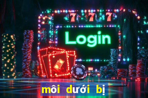 môi dưới bị giật là bệnh gì