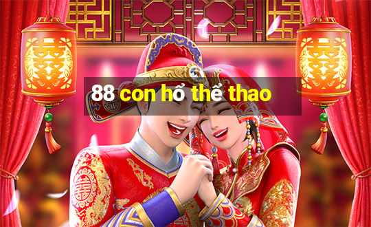 88 con hổ thể thao