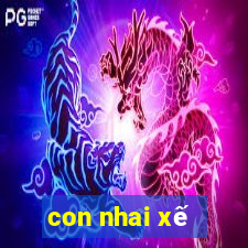 con nhai xế