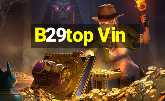 B29top Vin