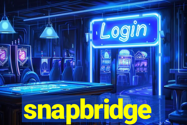 snapbridge