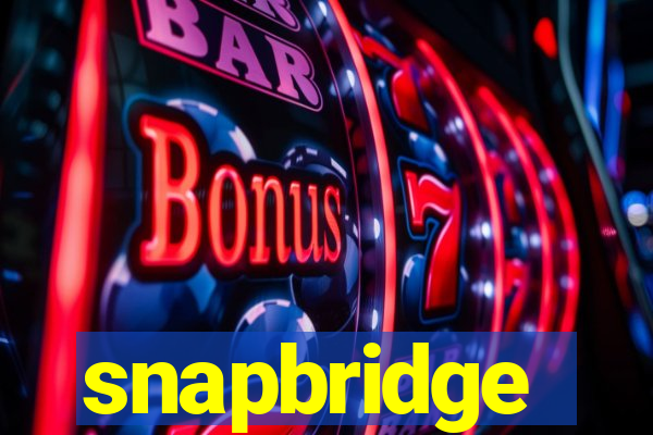 snapbridge