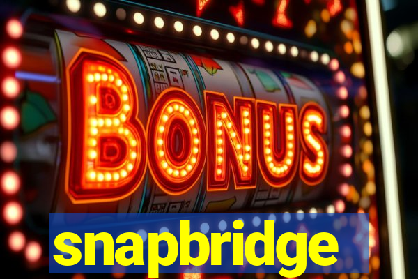 snapbridge