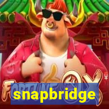 snapbridge