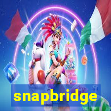 snapbridge