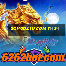 bongdalu com tỉ số