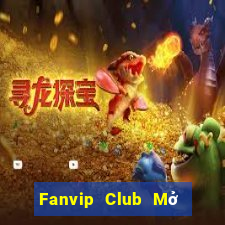 Fanvip Club Mở Trò Chơi Ô Tô