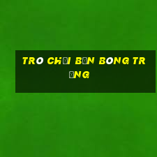 trò chơi bắn bóng trứng