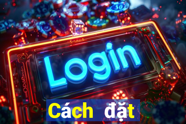 Cách đặt cược XSDTMB ngày 5