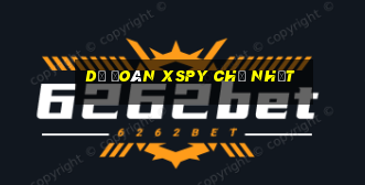 Dự đoán XSPY Chủ Nhật