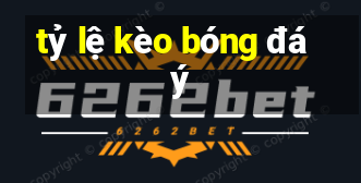 tỷ lệ kèo bóng đá ý