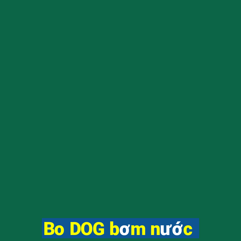 Bo DOG bơm nước