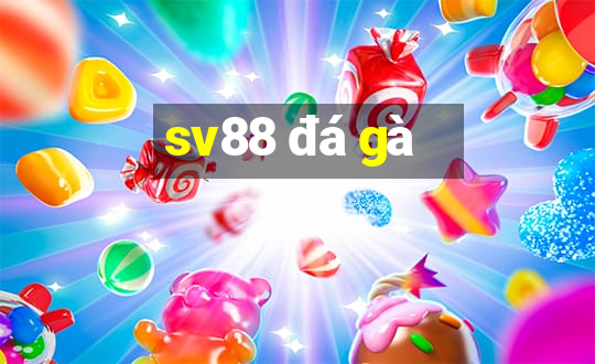 sv88 đá gà