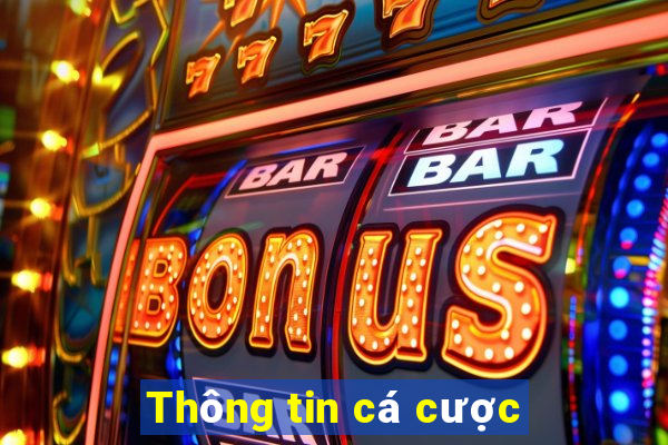 Thông tin cá cược