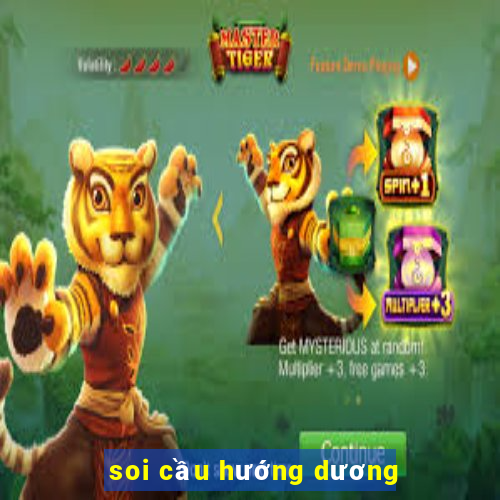 soi cầu hướng dương