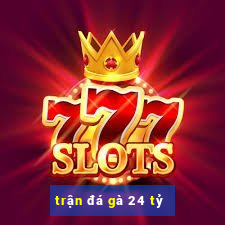 trận đá gà 24 tỷ