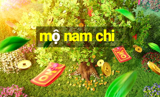 mộ nam chi