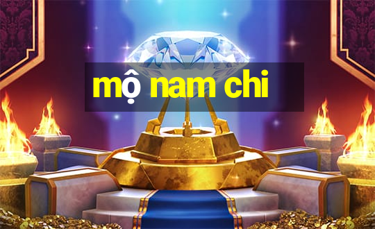 mộ nam chi