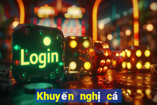 Khuyến nghị cá cược bóng đá hôm nay