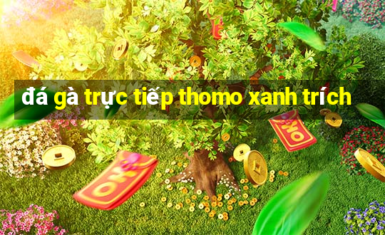 đá gà trực tiếp thomo xanh trích