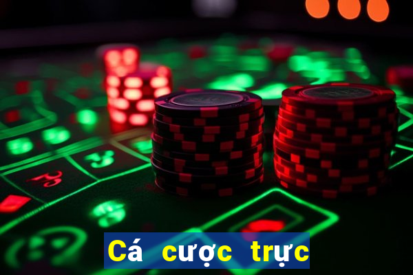 Cá cược trực tuyến fabet88