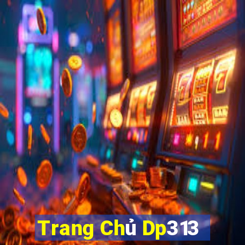 Trang Chủ Dp313