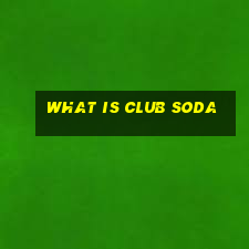 what is club soda