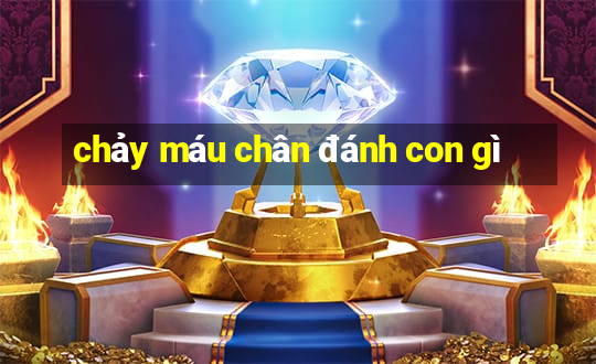 chảy máu chân đánh con gì