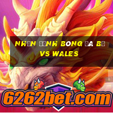 nhận định bóng đá bỉ vs wales