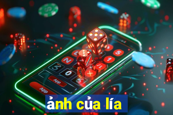 ảnh của lía