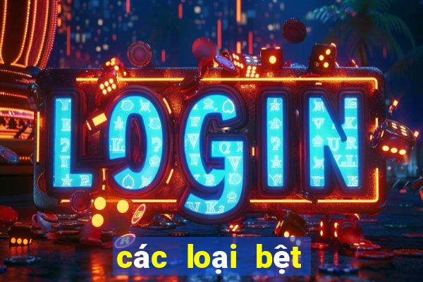 các loại bệt vệ sinh