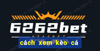 cách xem kèo cá cược bóng đá