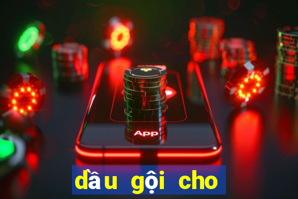 dầu gội cho tóc dầu nhanh bết